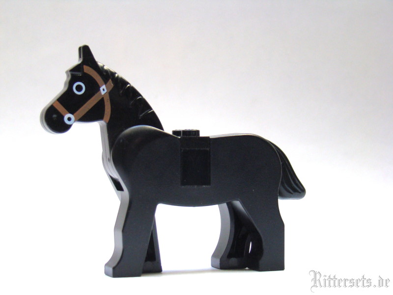 pferd01.jpg