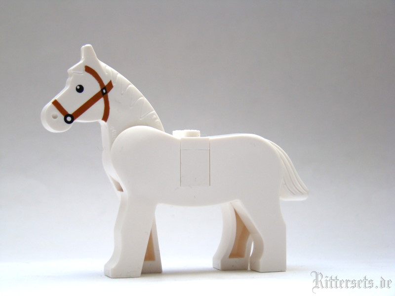 pferd02.jpg