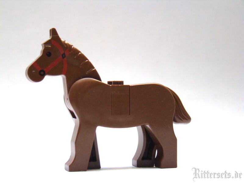 pferd03.jpg
