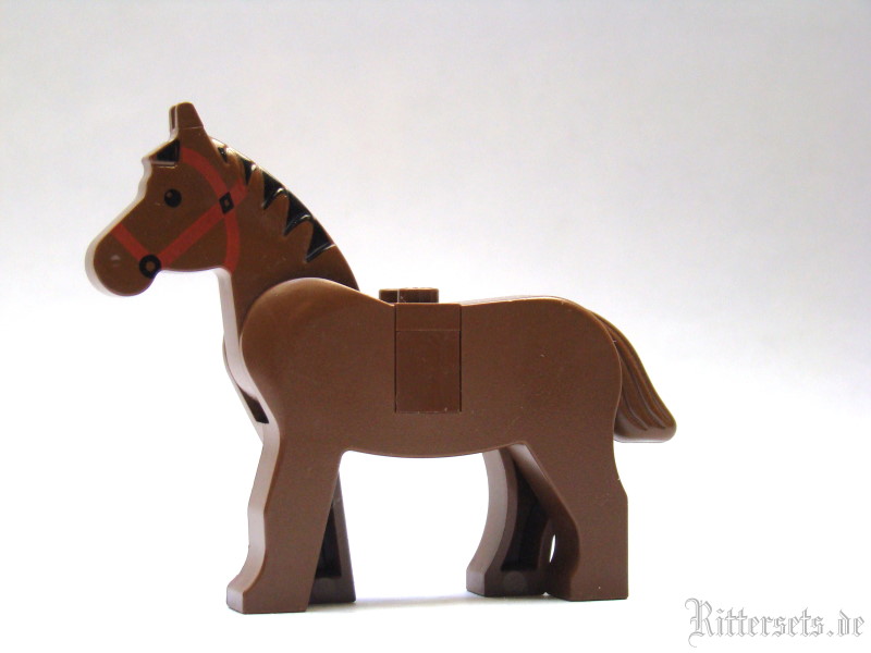pferd04.jpg