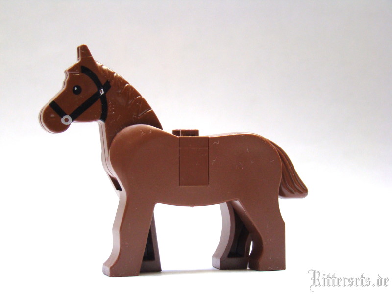 pferd07.jpg