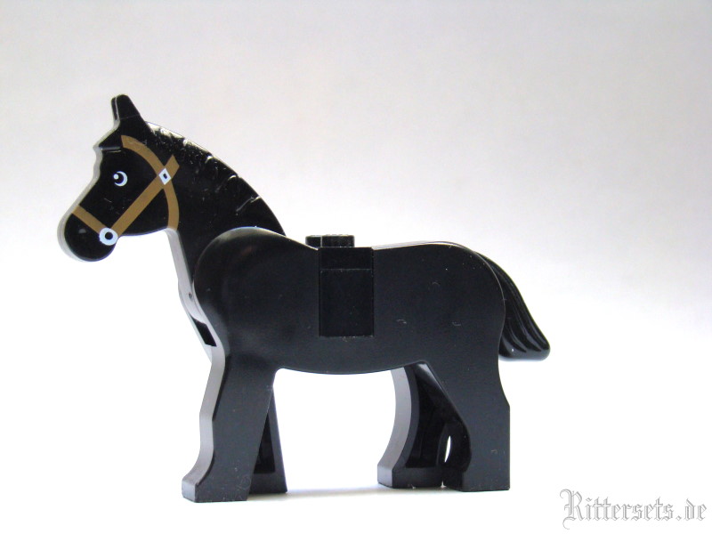 pferd08.jpg