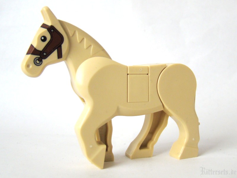 pferd17.jpg