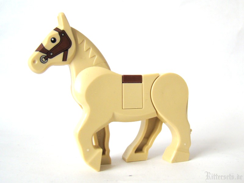 pferd17b.jpg