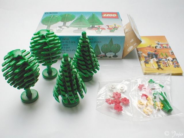 6305.jpg