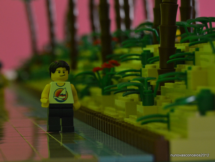 dsc_0898.jpg