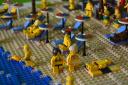 dsc_0891.jpg