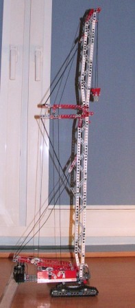 44445.jpg