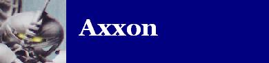 axxon.jpg