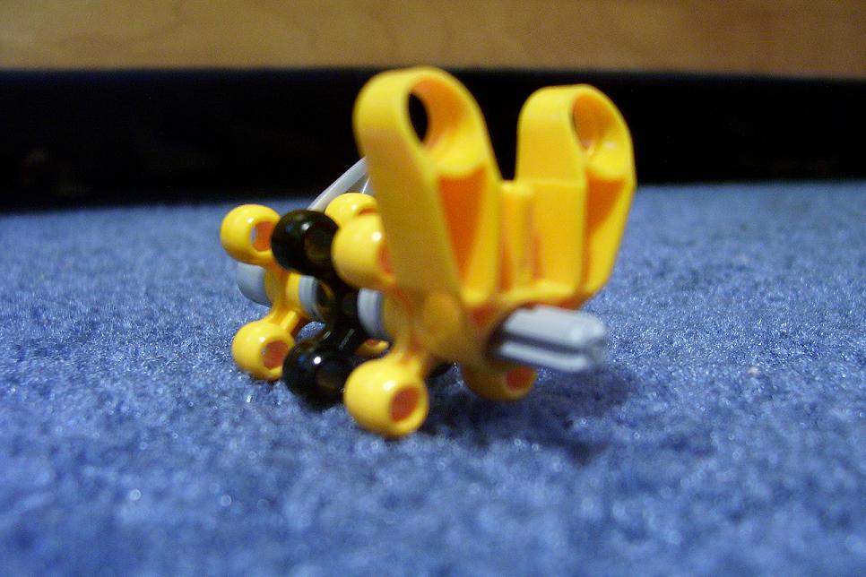 100_2385.jpg