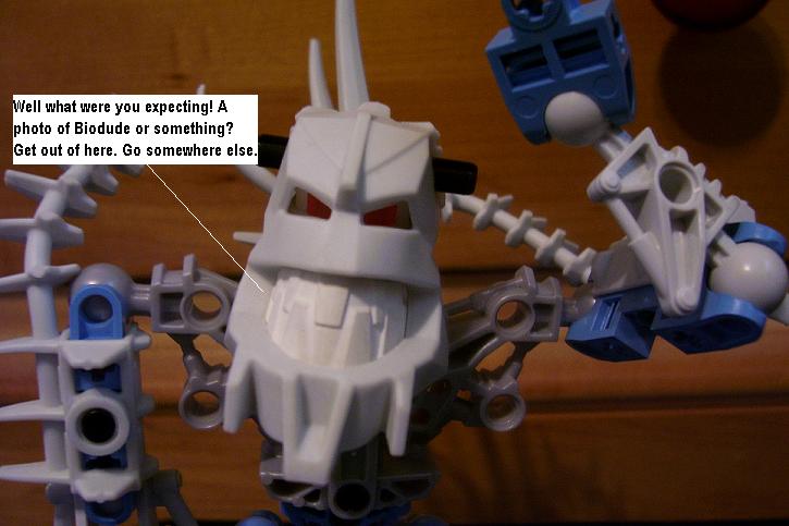 2dfg.jpg