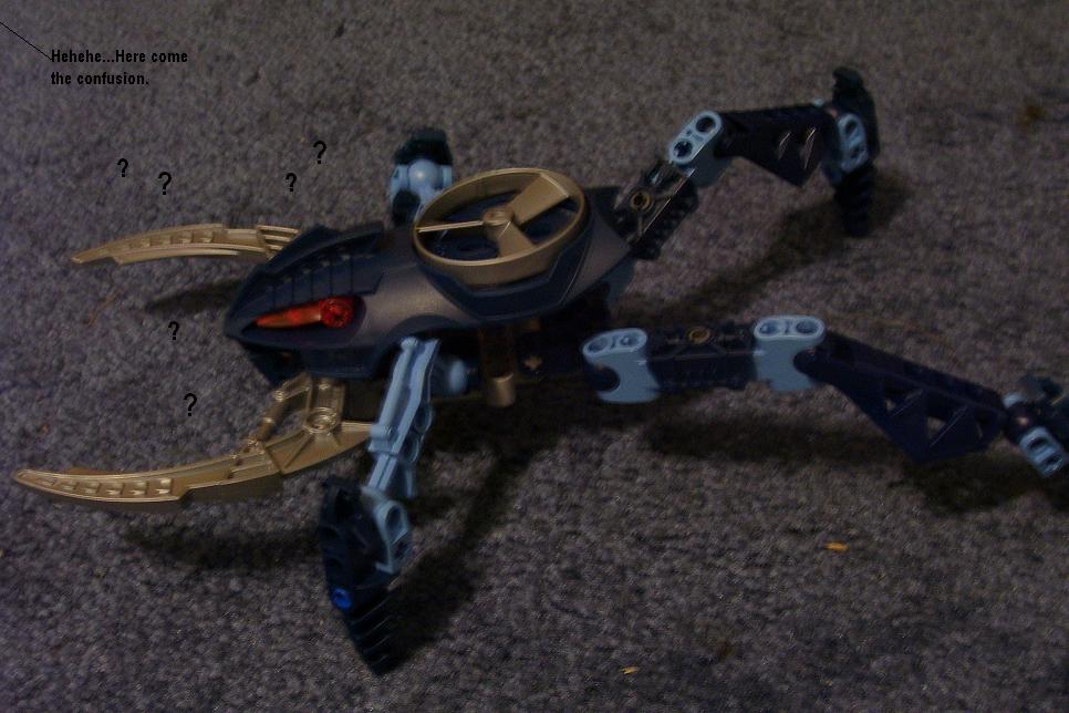 b6.jpg