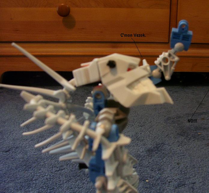 c2.jpg