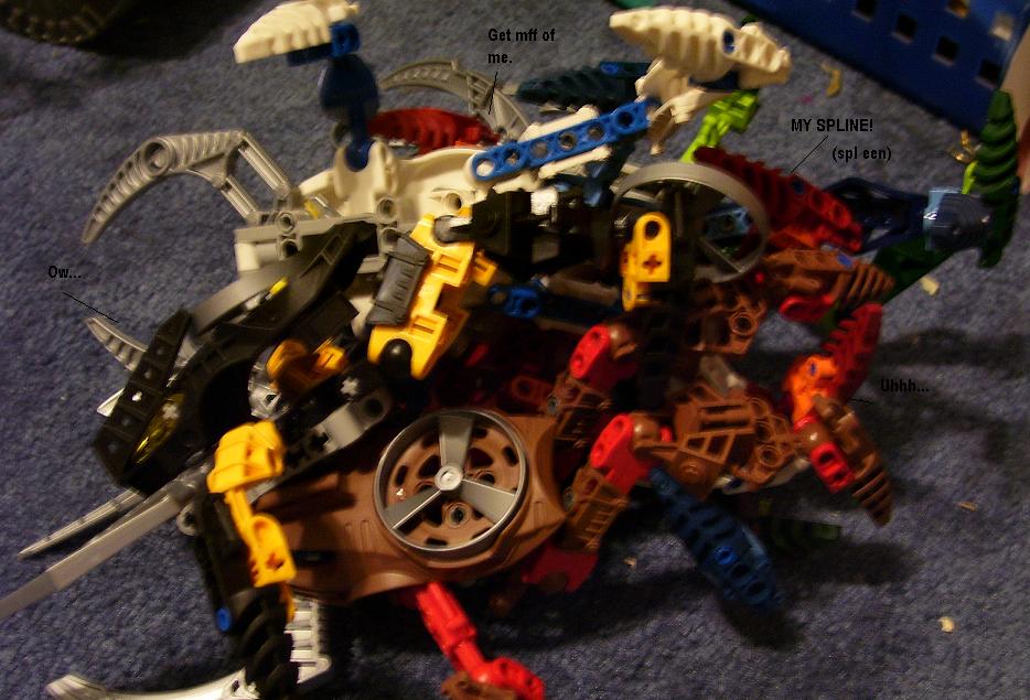 d16.jpg