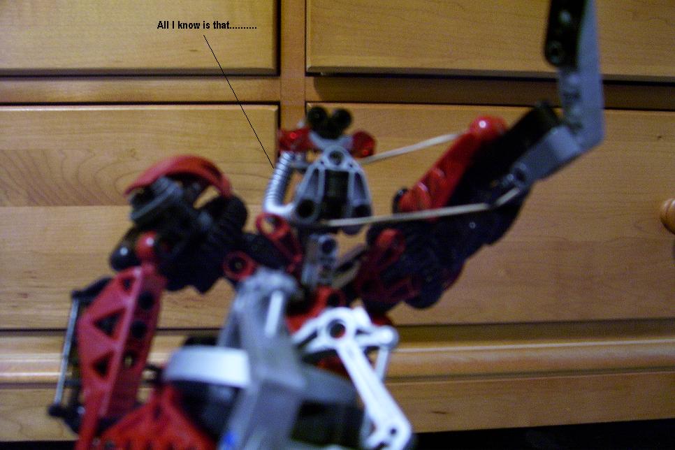 d18.jpg