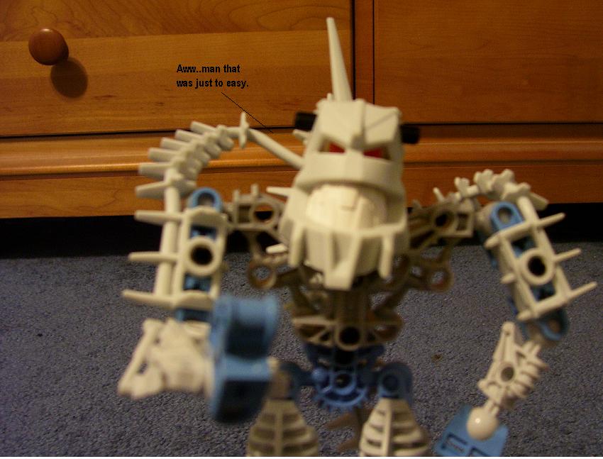 d20.jpg