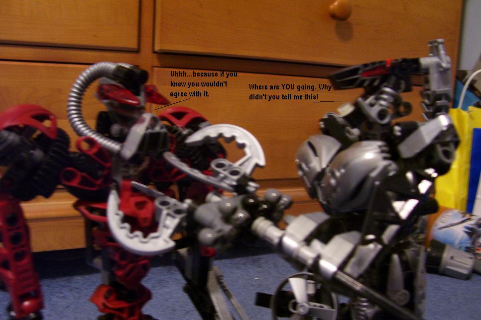 d6.jpg