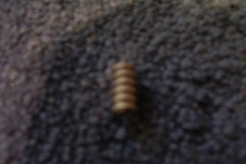100_0947.jpg