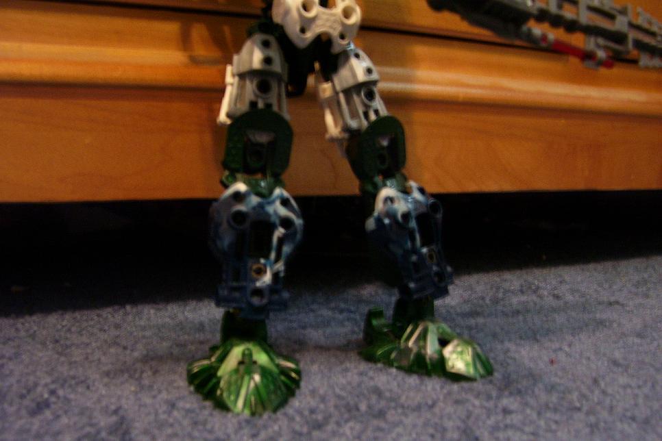 legs.jpg