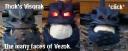 vezok_banner.jpg