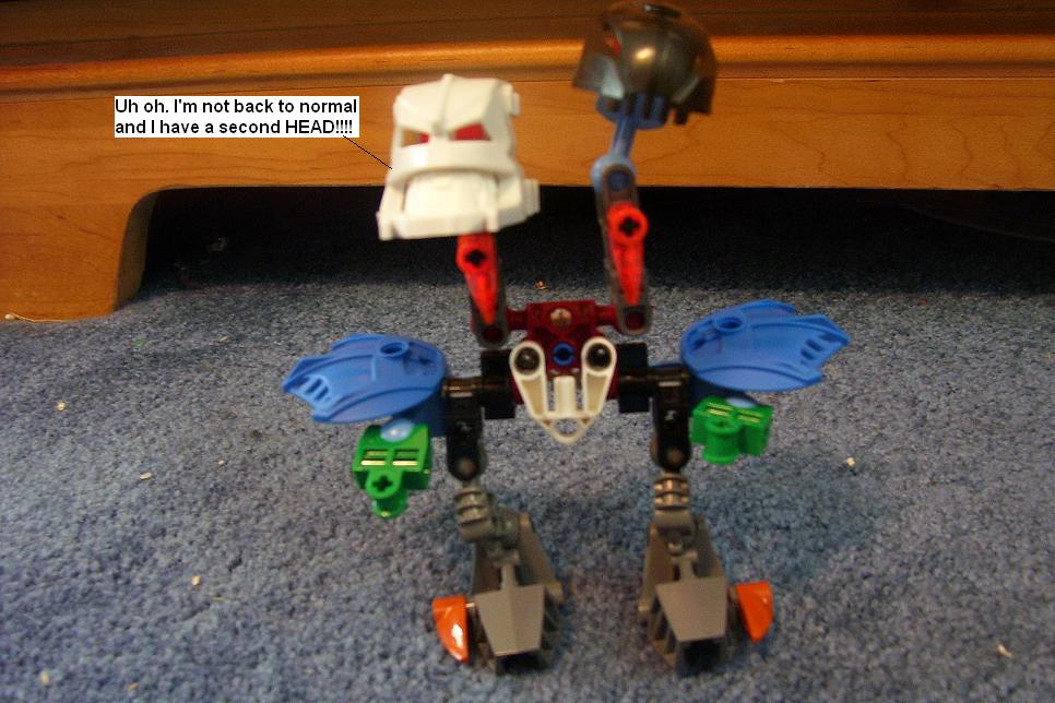 h40.jpg