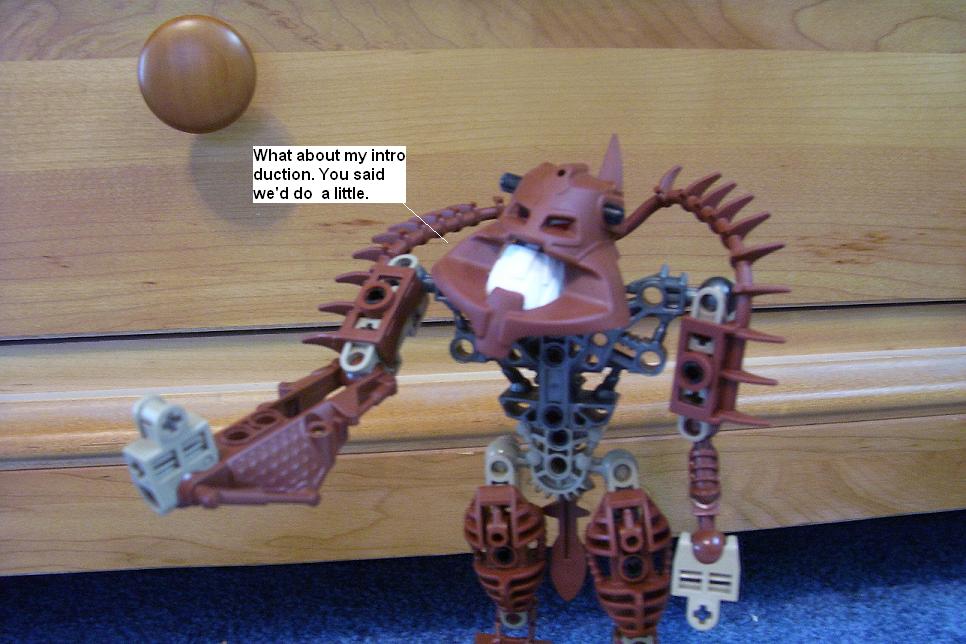h6.jpg