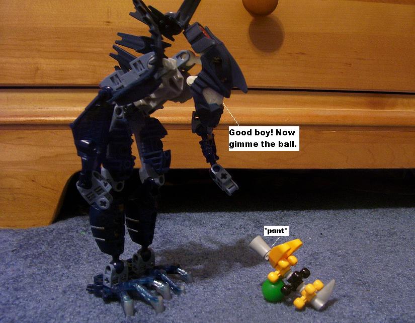 5j.jpg