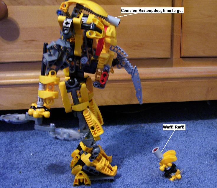 89j.jpg