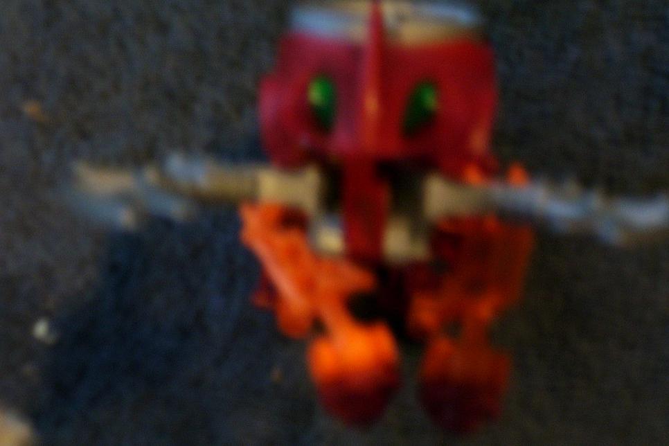 100_0255.jpg