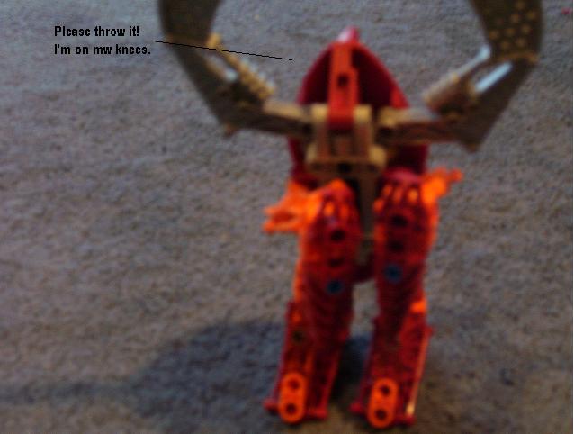 100_0265.jpg