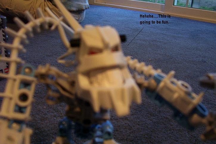 100_0271.jpg