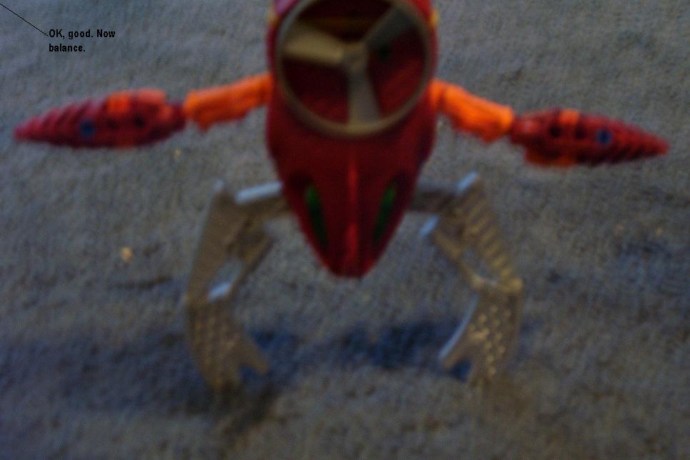 100_0279.jpg