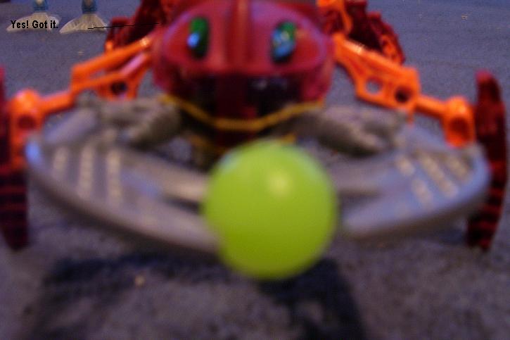 100_0293.jpg
