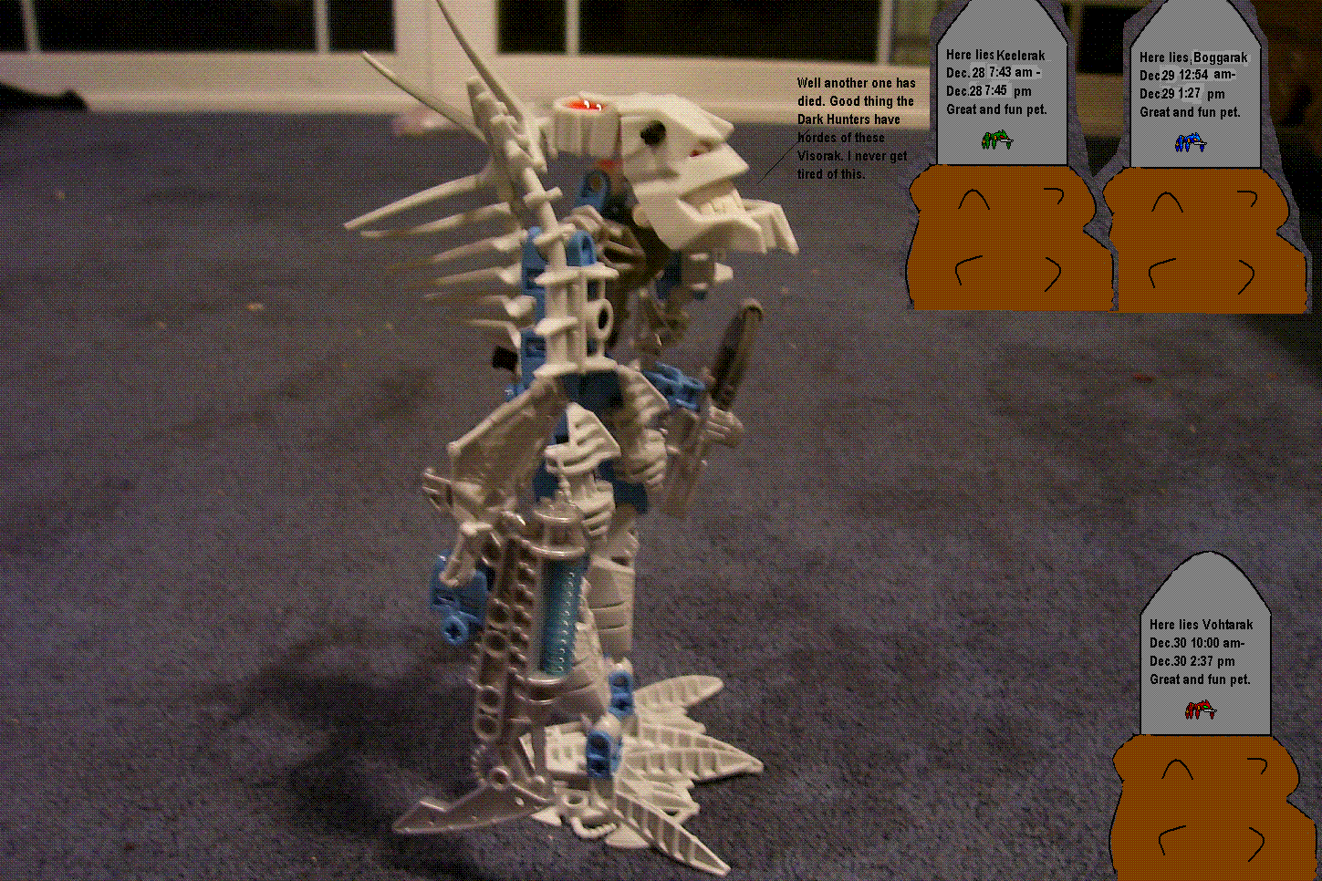 100_0322.gif