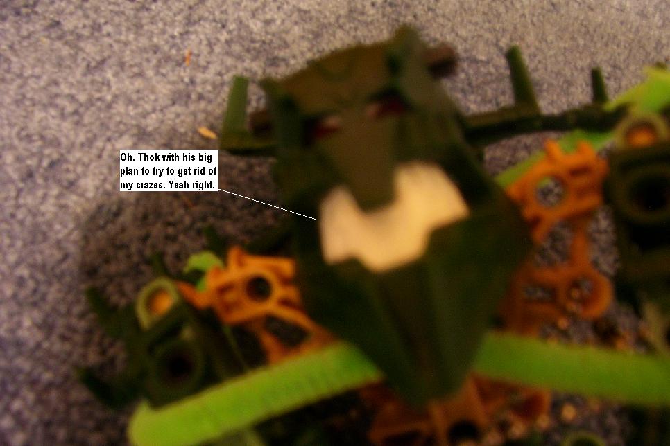 p24.jpg