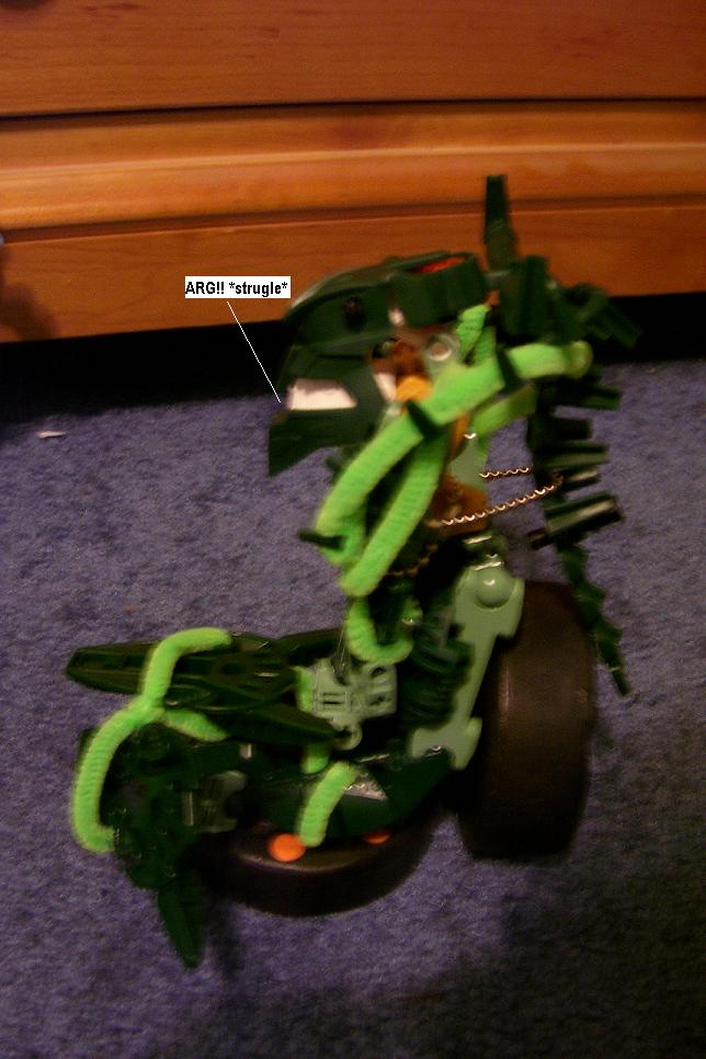 p30.jpg
