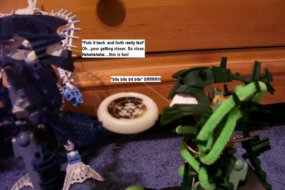 p36.jpg