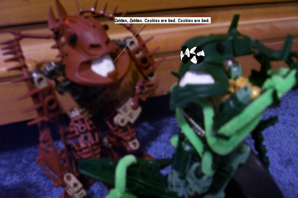 p66.jpg