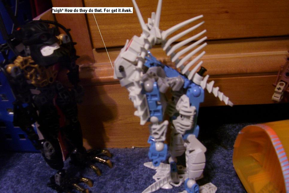 p72.jpg