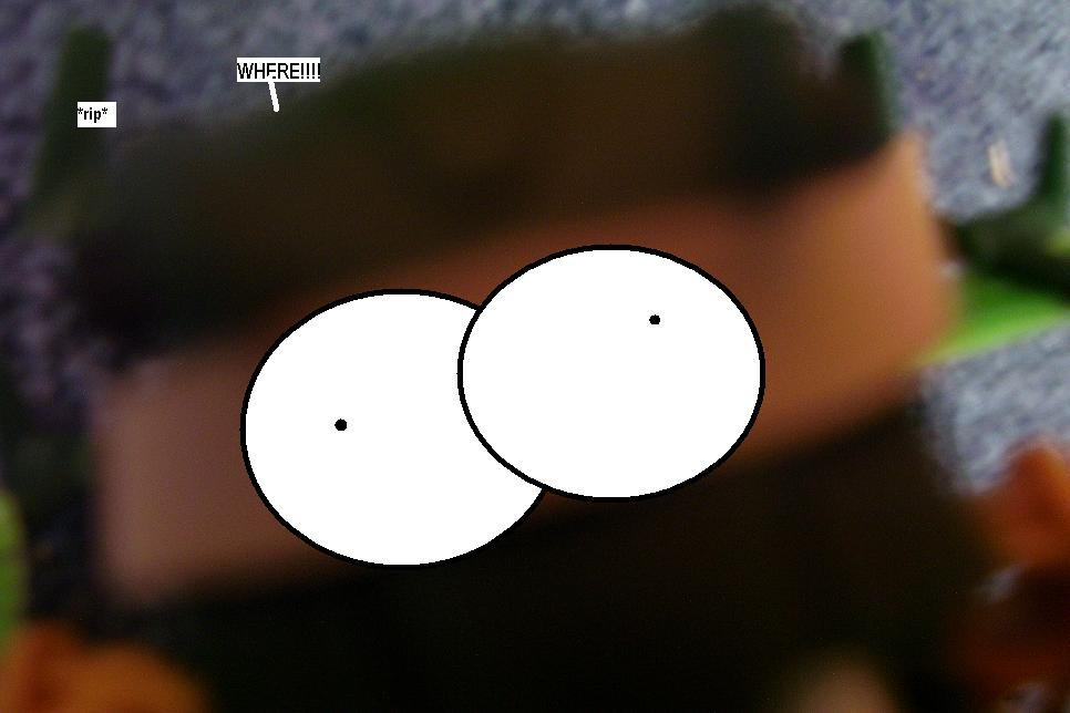 p9.jpg