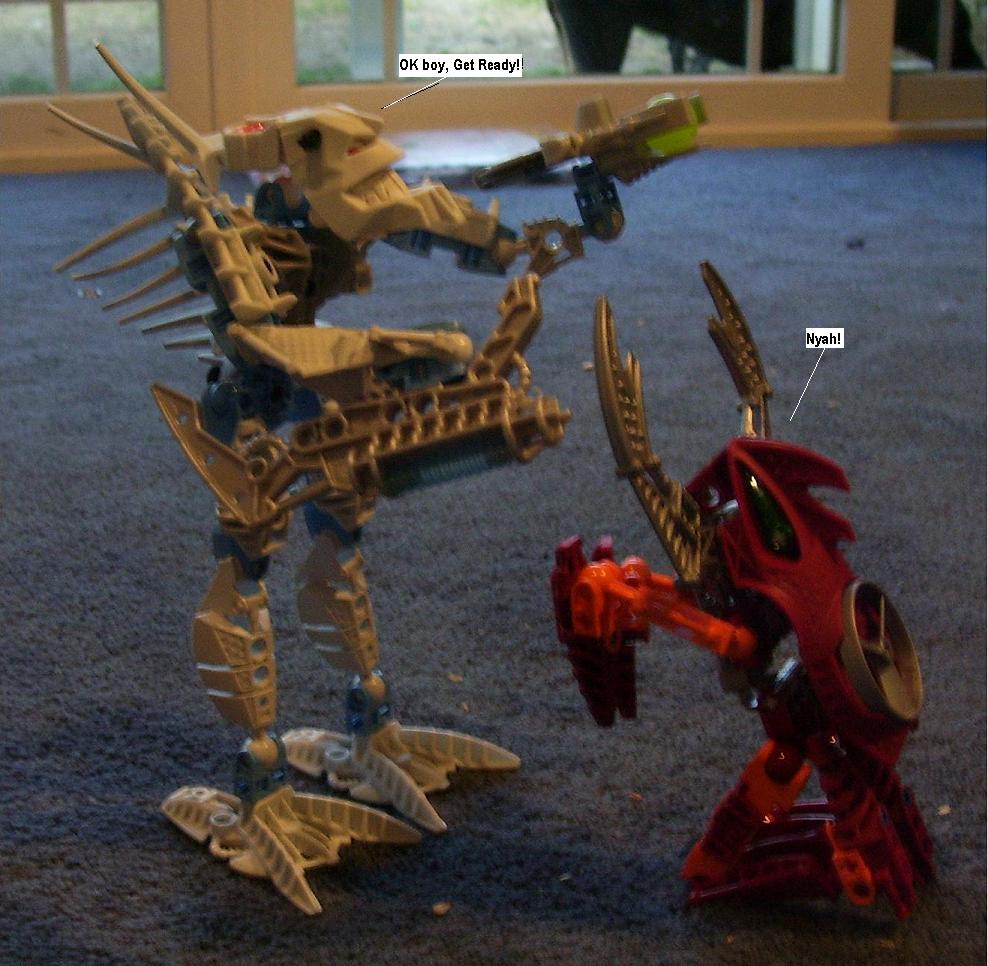 a.jpg