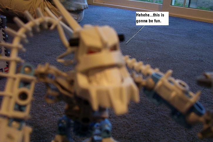 d.jpg