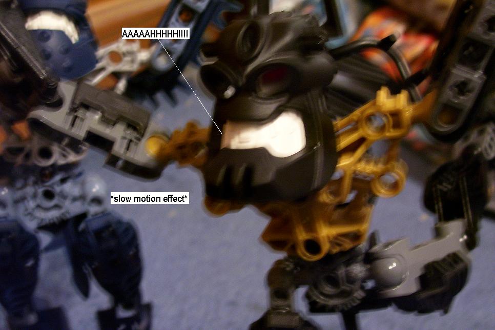 zq.jpg