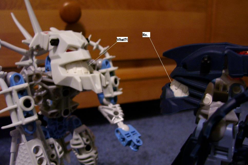 zzj.jpg