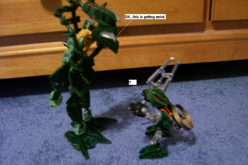 zz.jpg