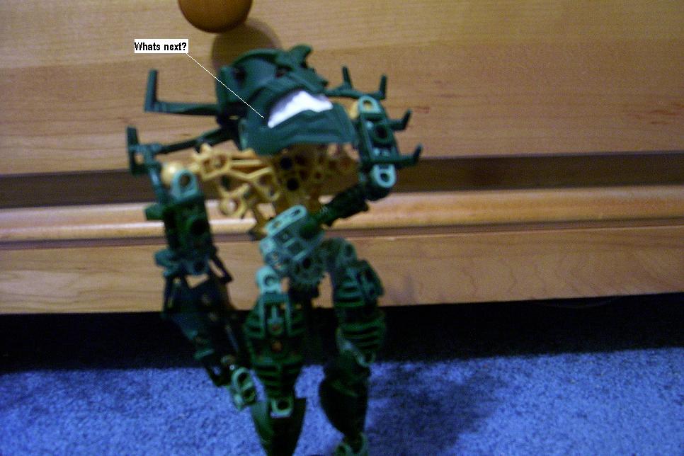 zzh.jpg