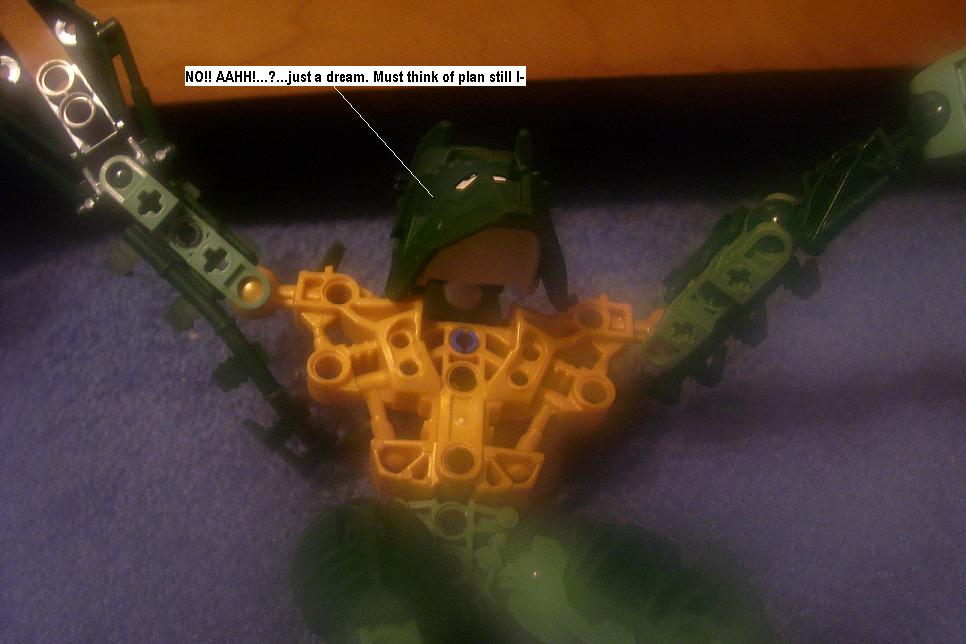 zzv.jpg