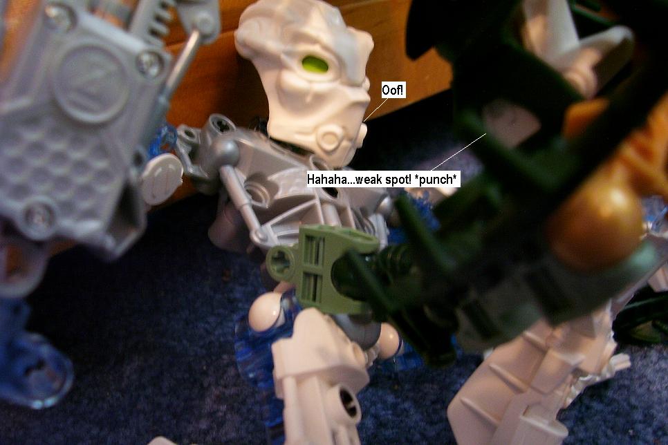 zzl.jpg