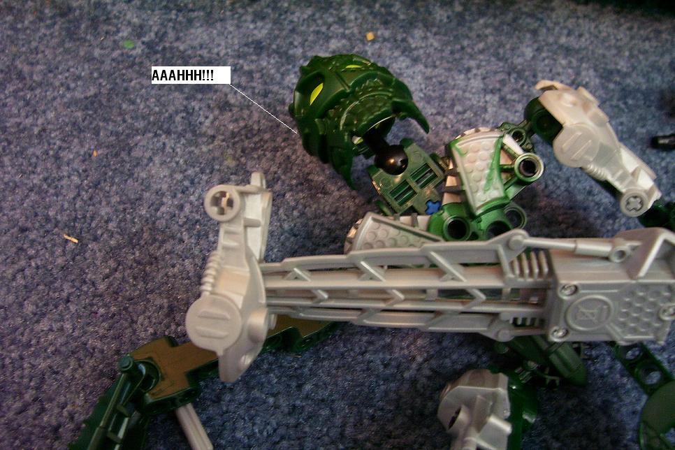 zzzo.jpg
