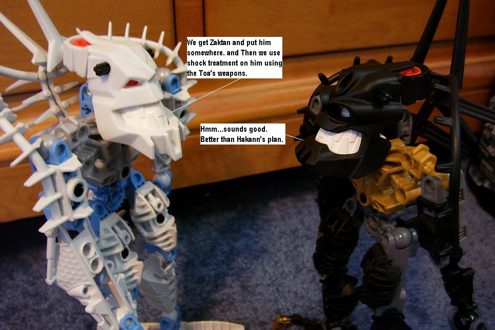 zy.jpg